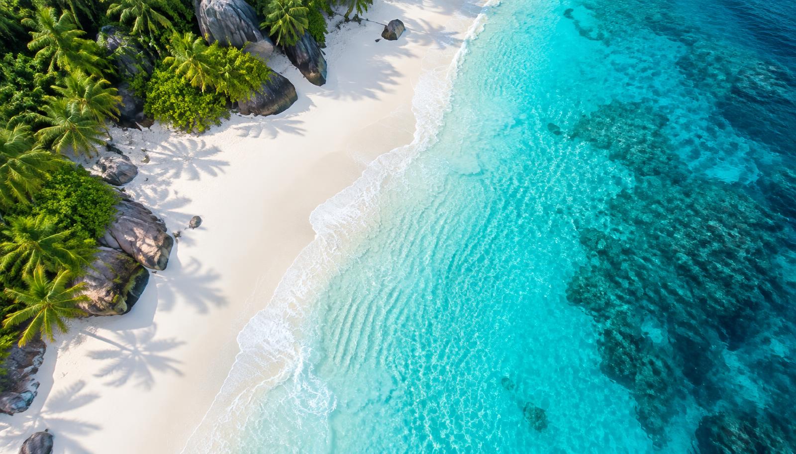 Aerial view of a white sand beach and turquoise water